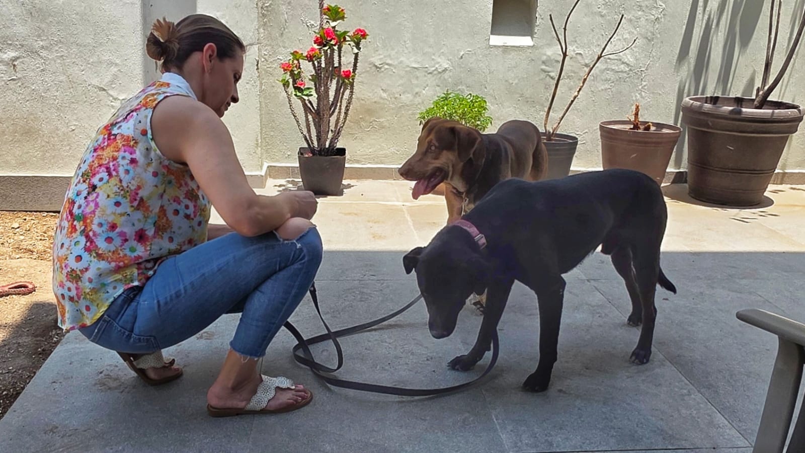 Corrección de Conductas